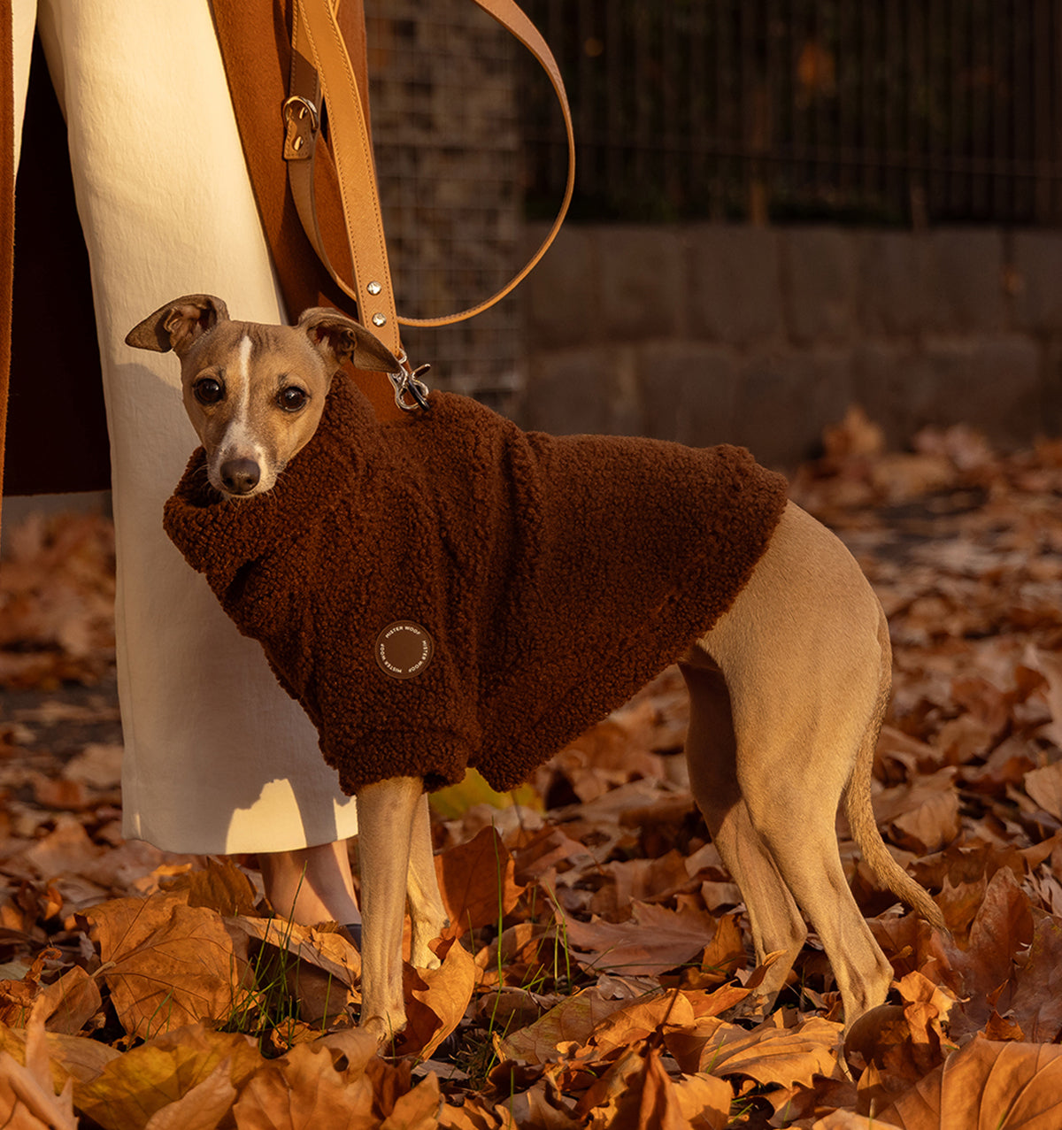 Brown Bear Teddy Jumper