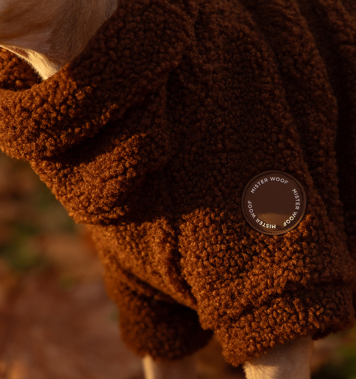 Brown Bear Teddy Jumper