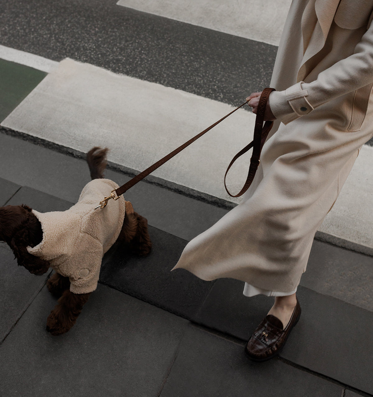 Chocolate Brown 3-in-1 Hands Free Dog Lead