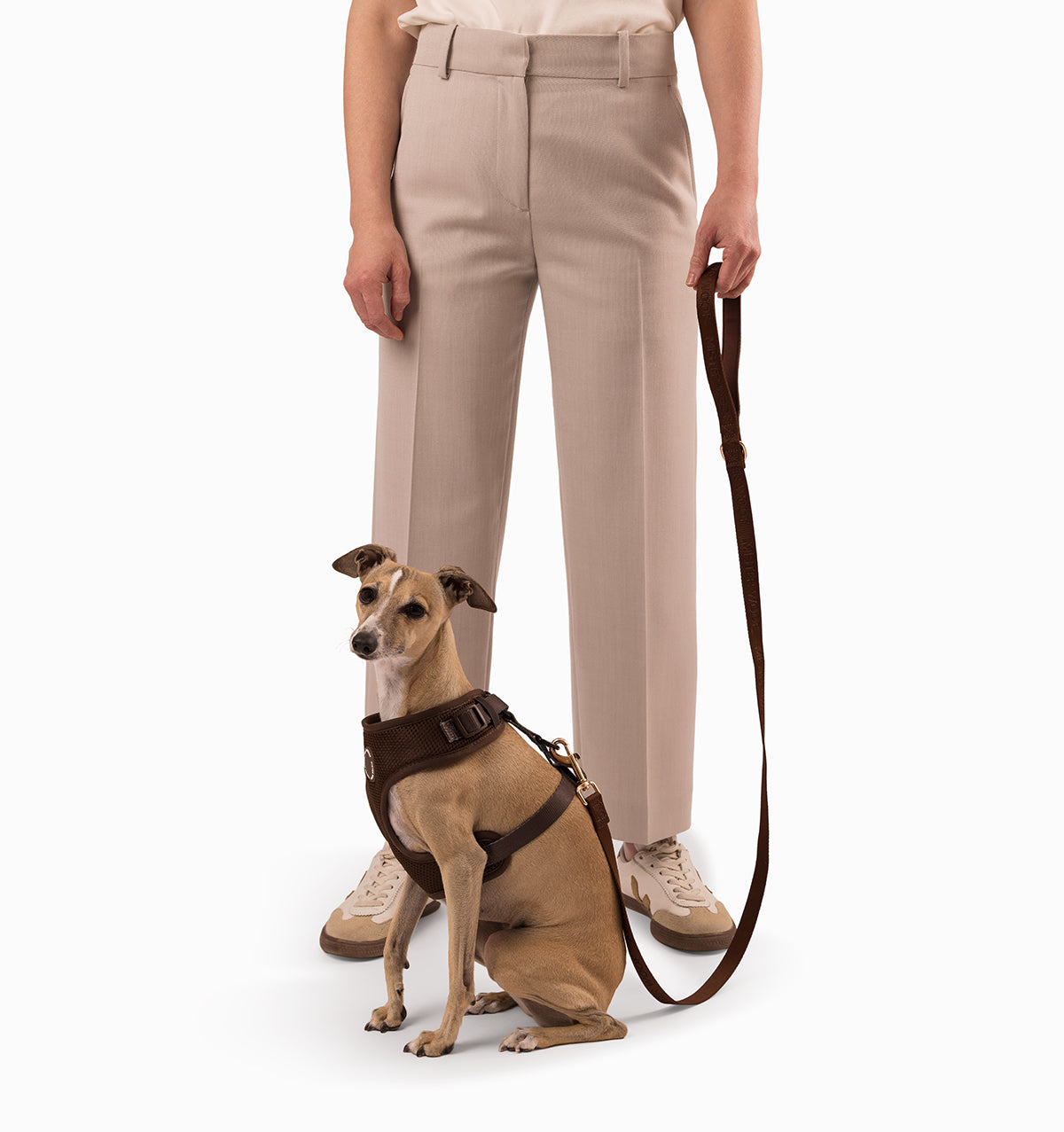 Chocolate Brown 3-in-1 Hands Free Dog Lead