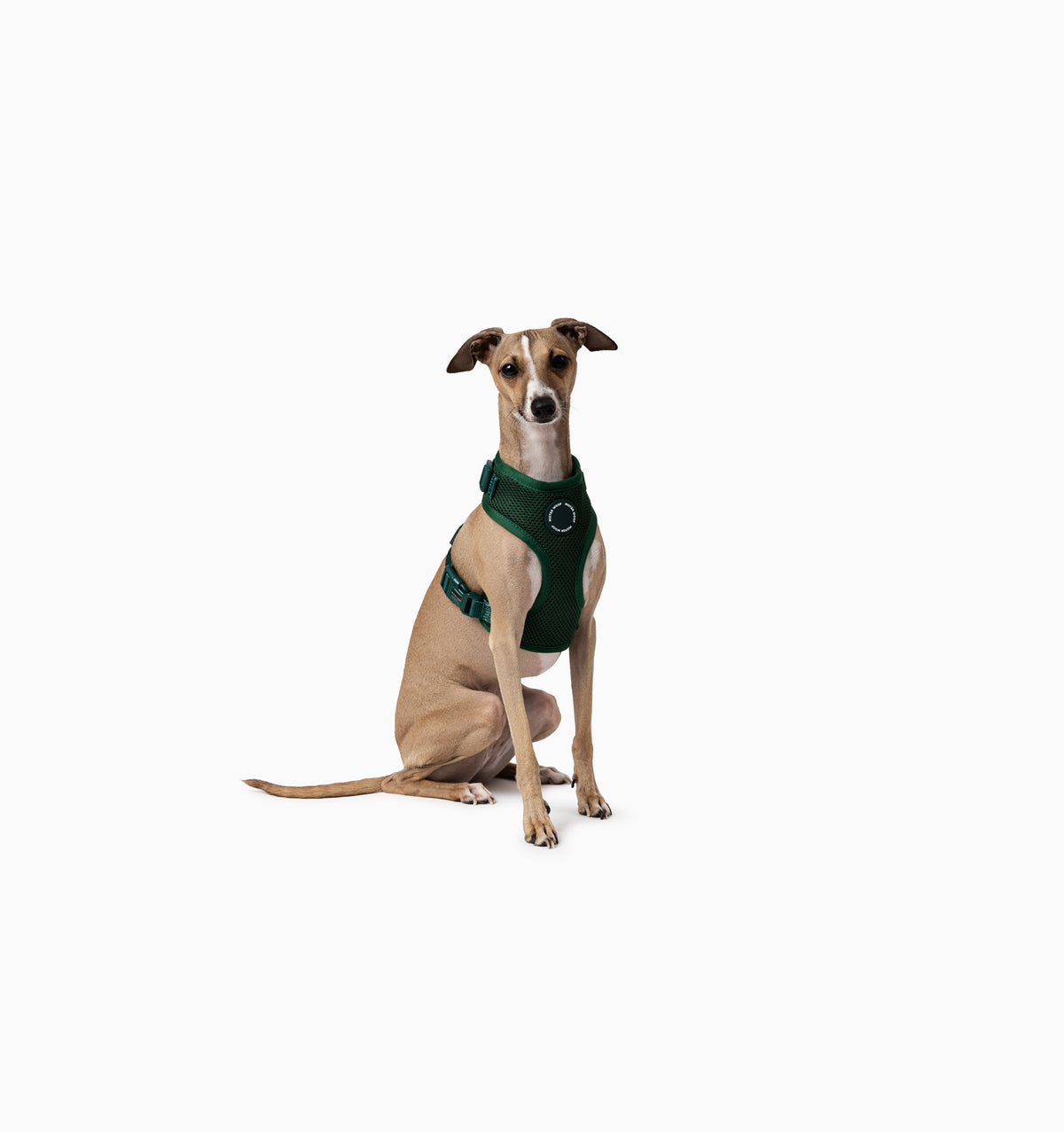 Deep Green Dog Harness
