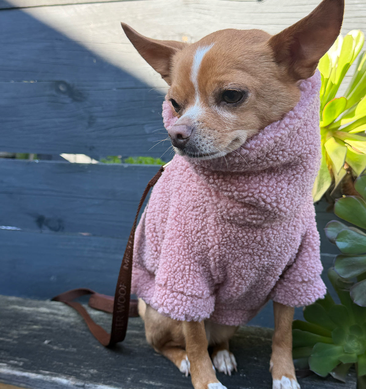 Rosie Teddy Jumper
