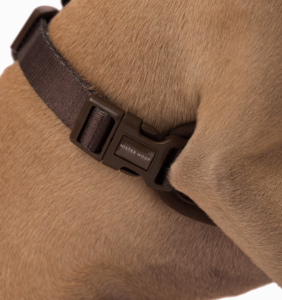Espresso Dog Harness