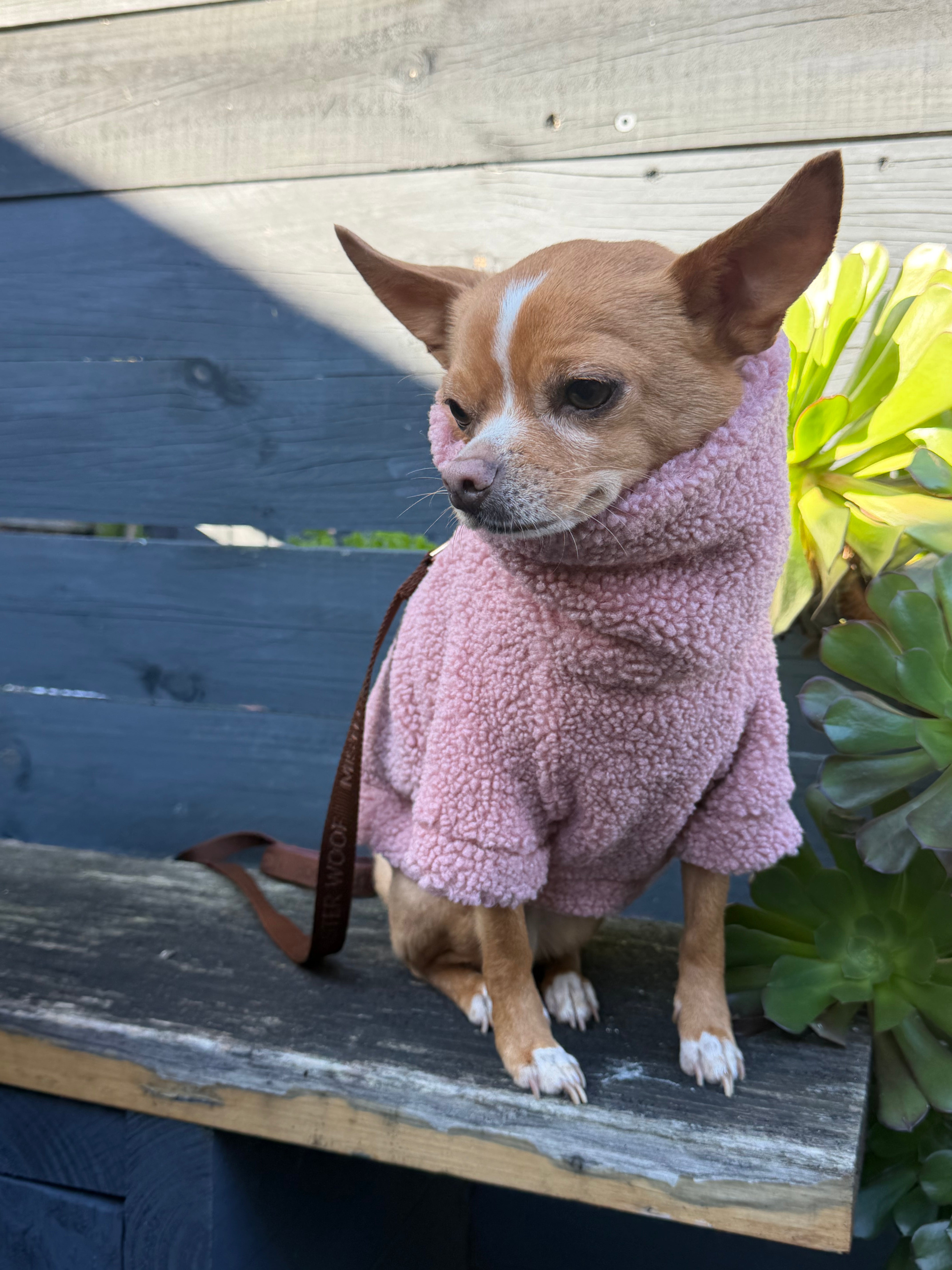 Rosie Teddy Jumper