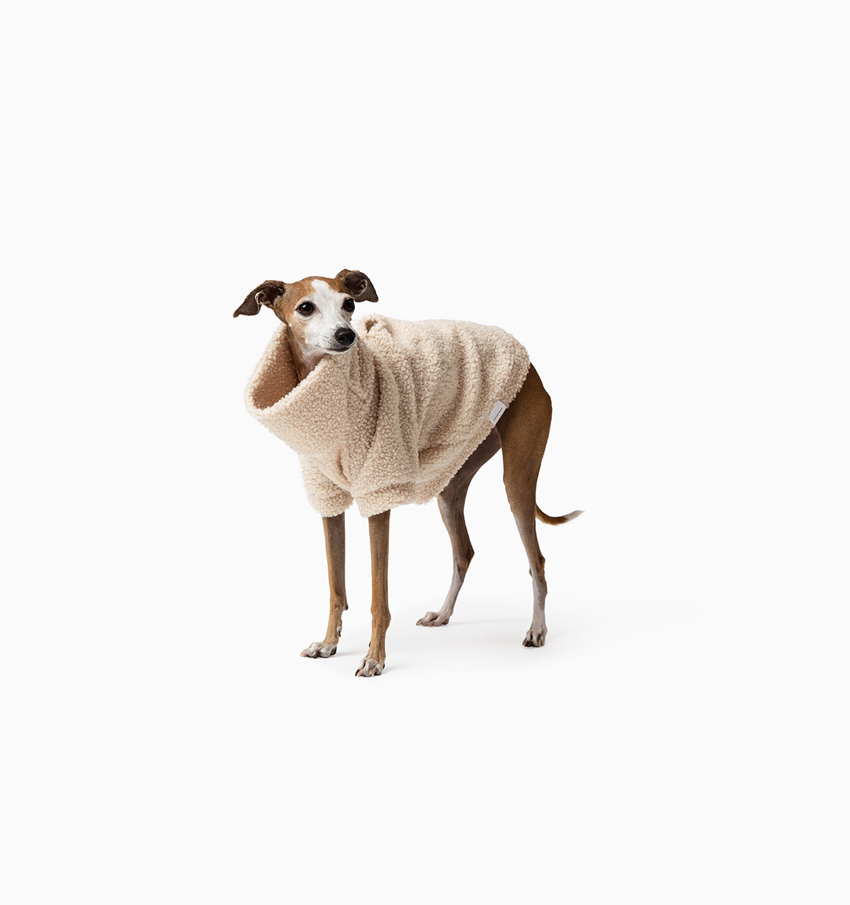 Lambie Teddy Jumper