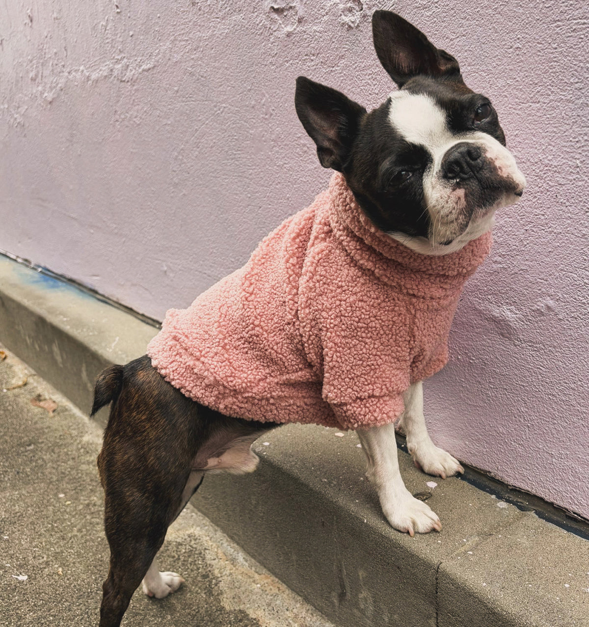 Rosie Teddy Jumper