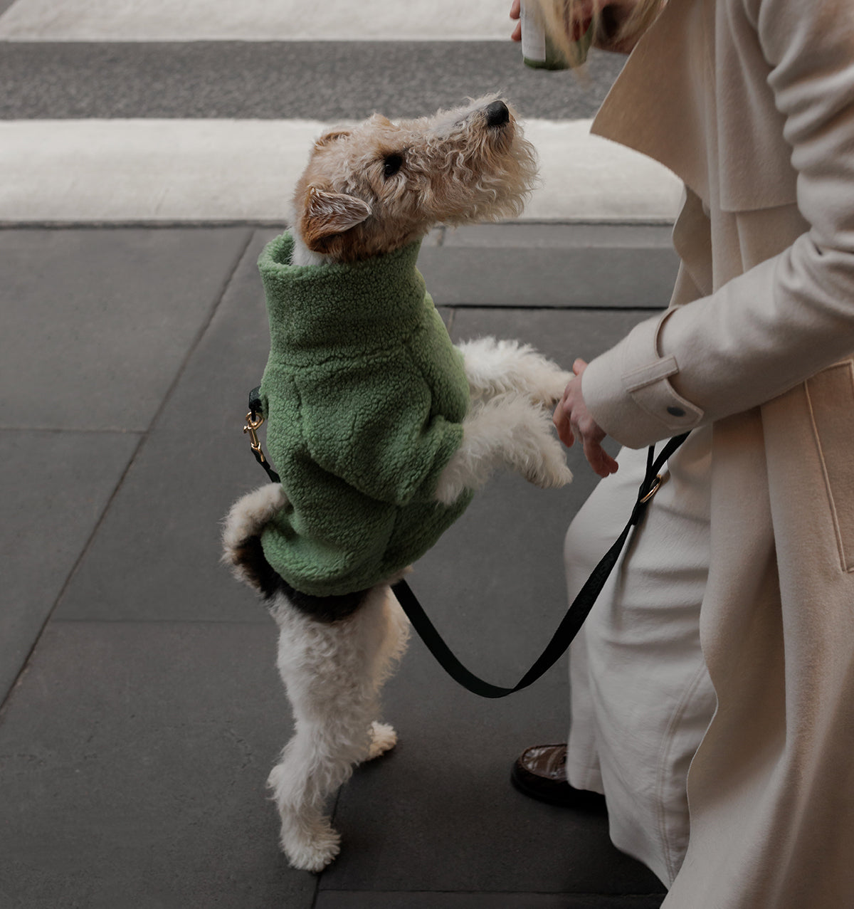 Matcha Green Teddy Jumper