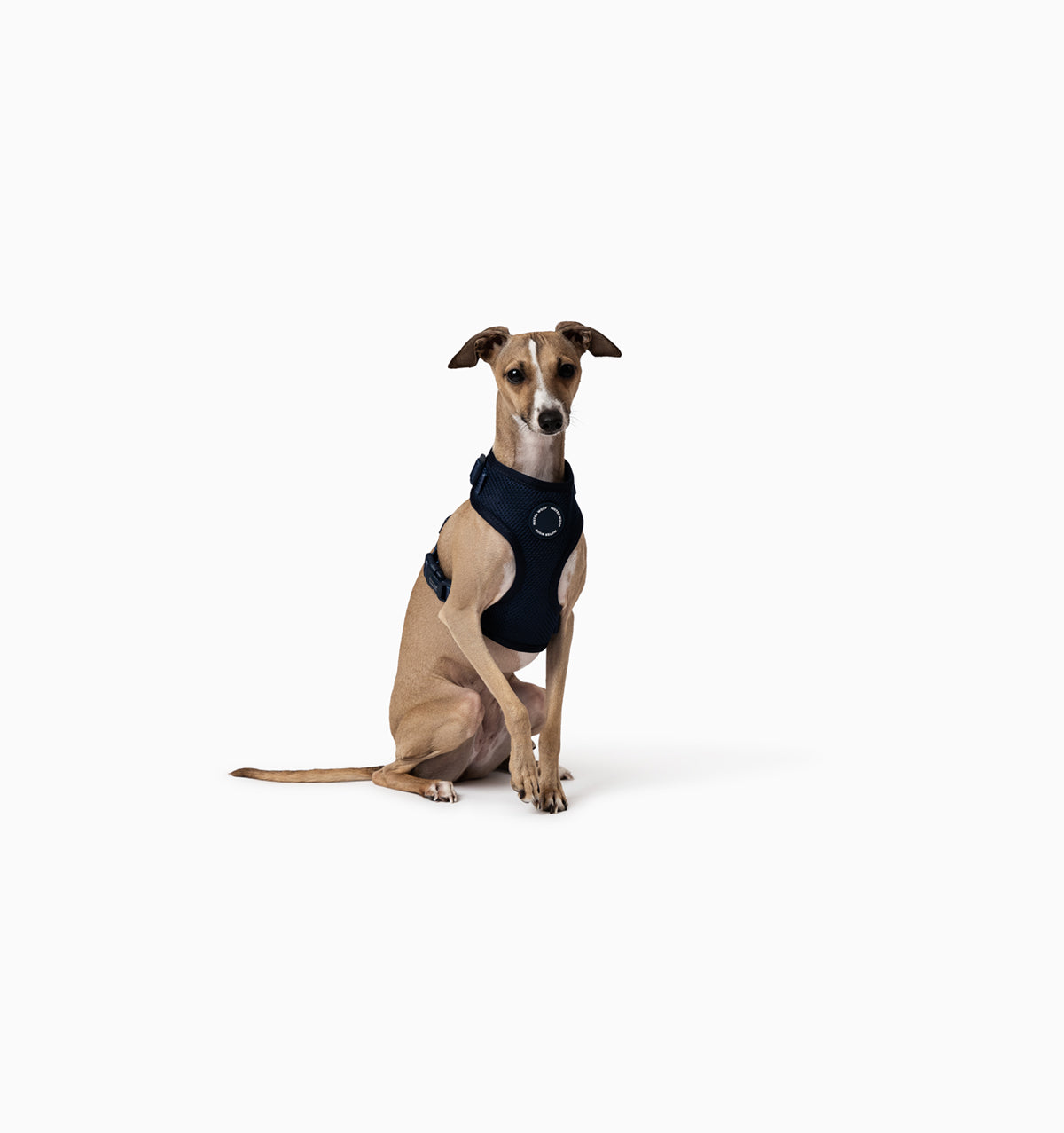 Navy Dog Harness