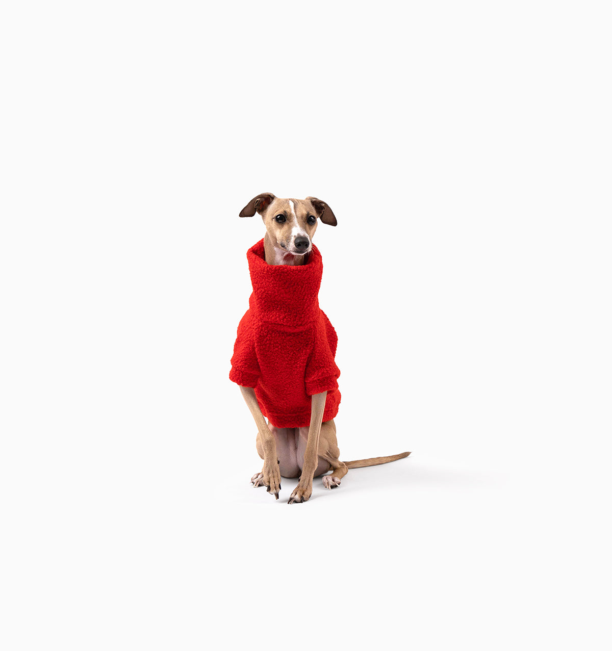 Rudy Teddy Jumper