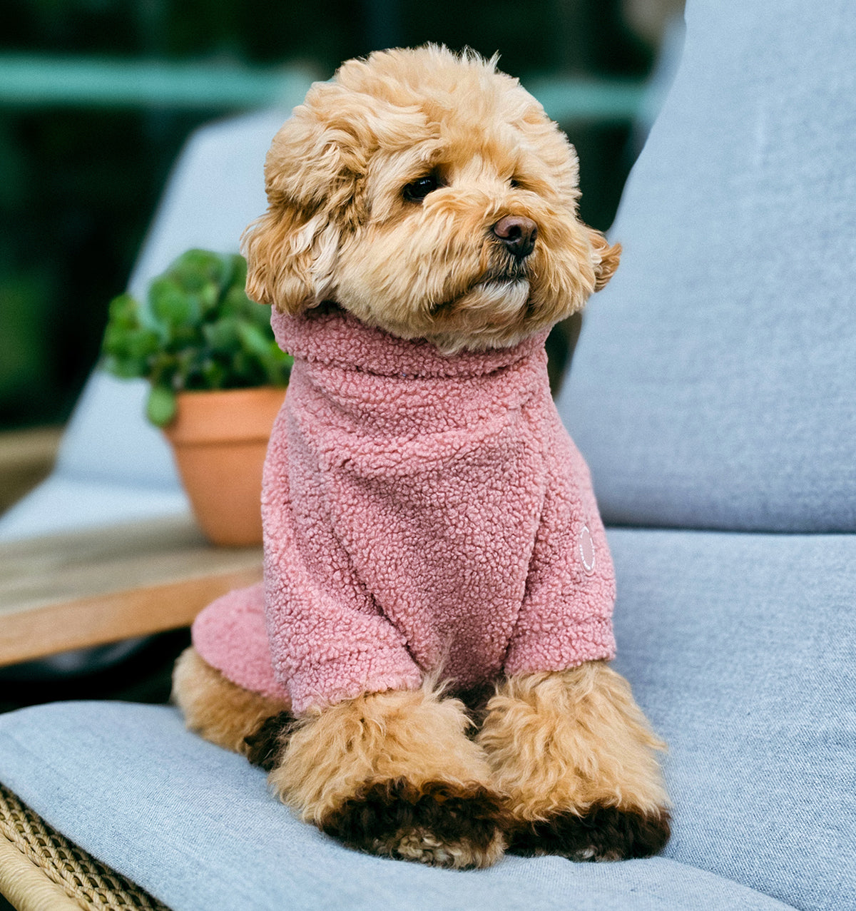 Rosie Teddy Jumper