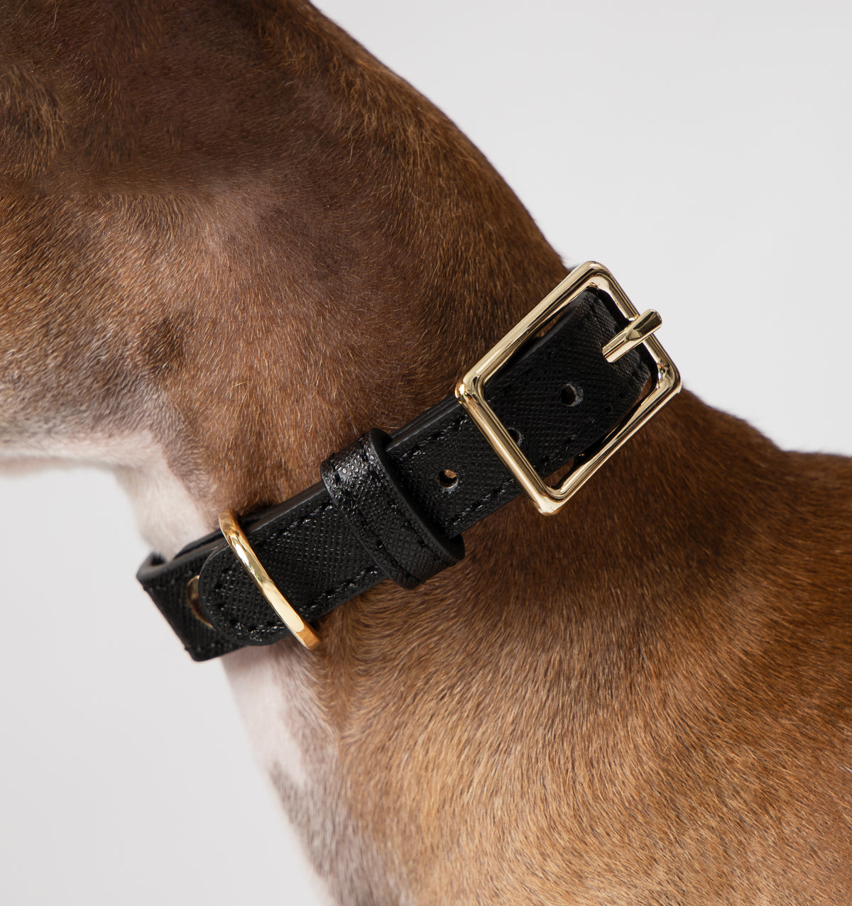Jet Black Leather Dog Collar