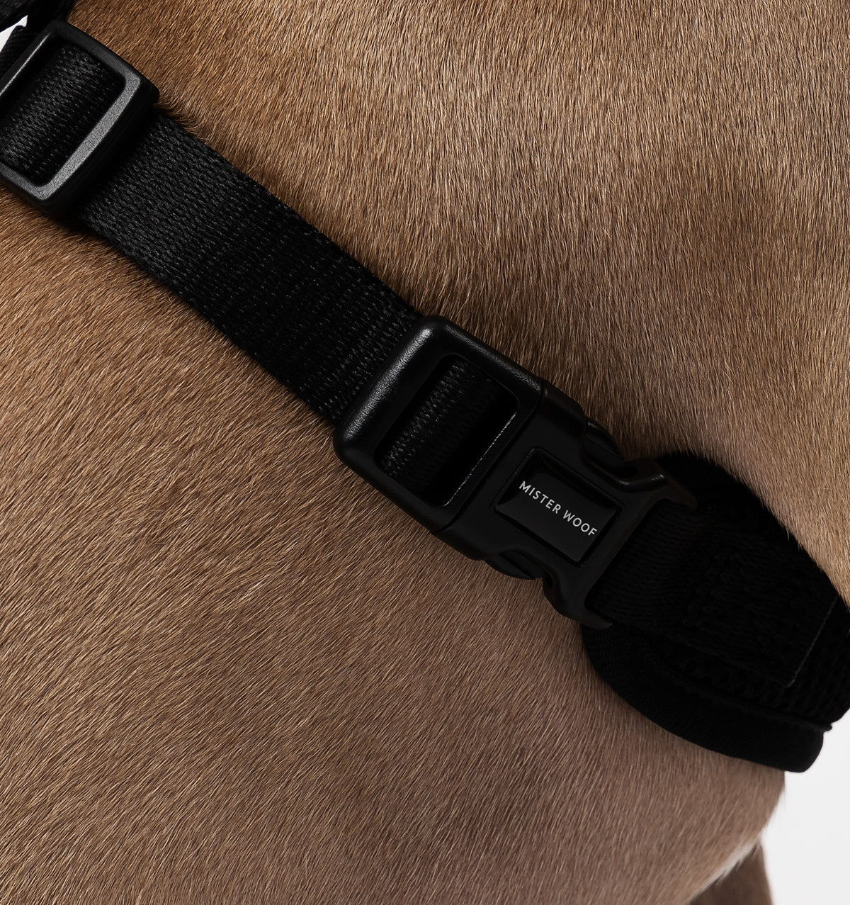 Black Dog Harness