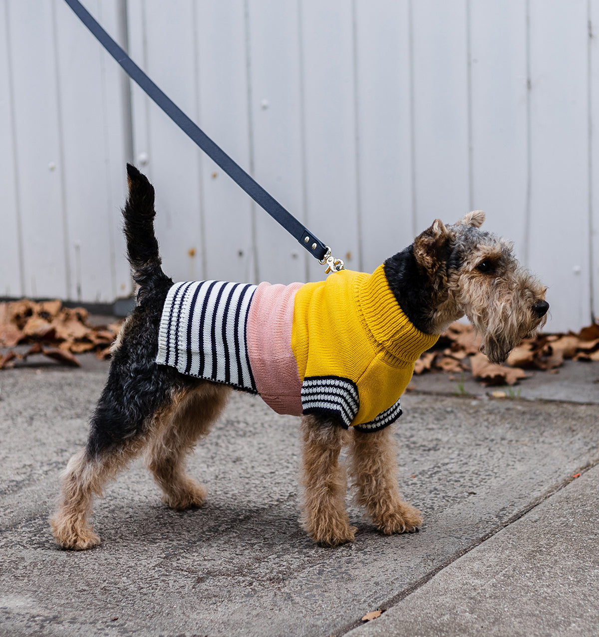 Harlow Knit