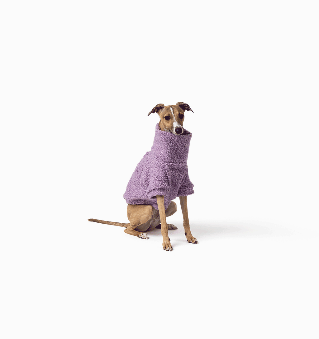 Lilac Teddy Jumper Purple Dog Pet Clothing Shop Online