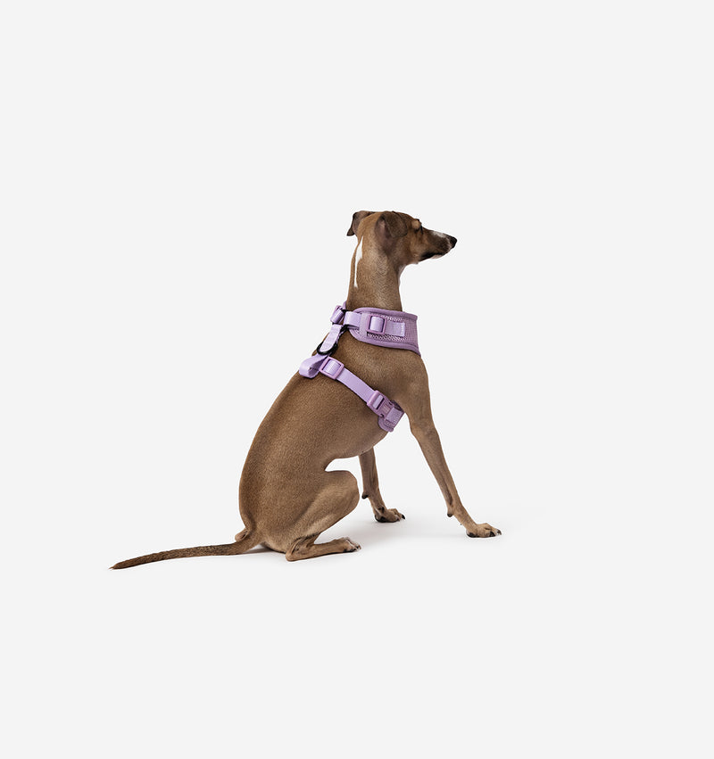 Pale Purple Dog Harness