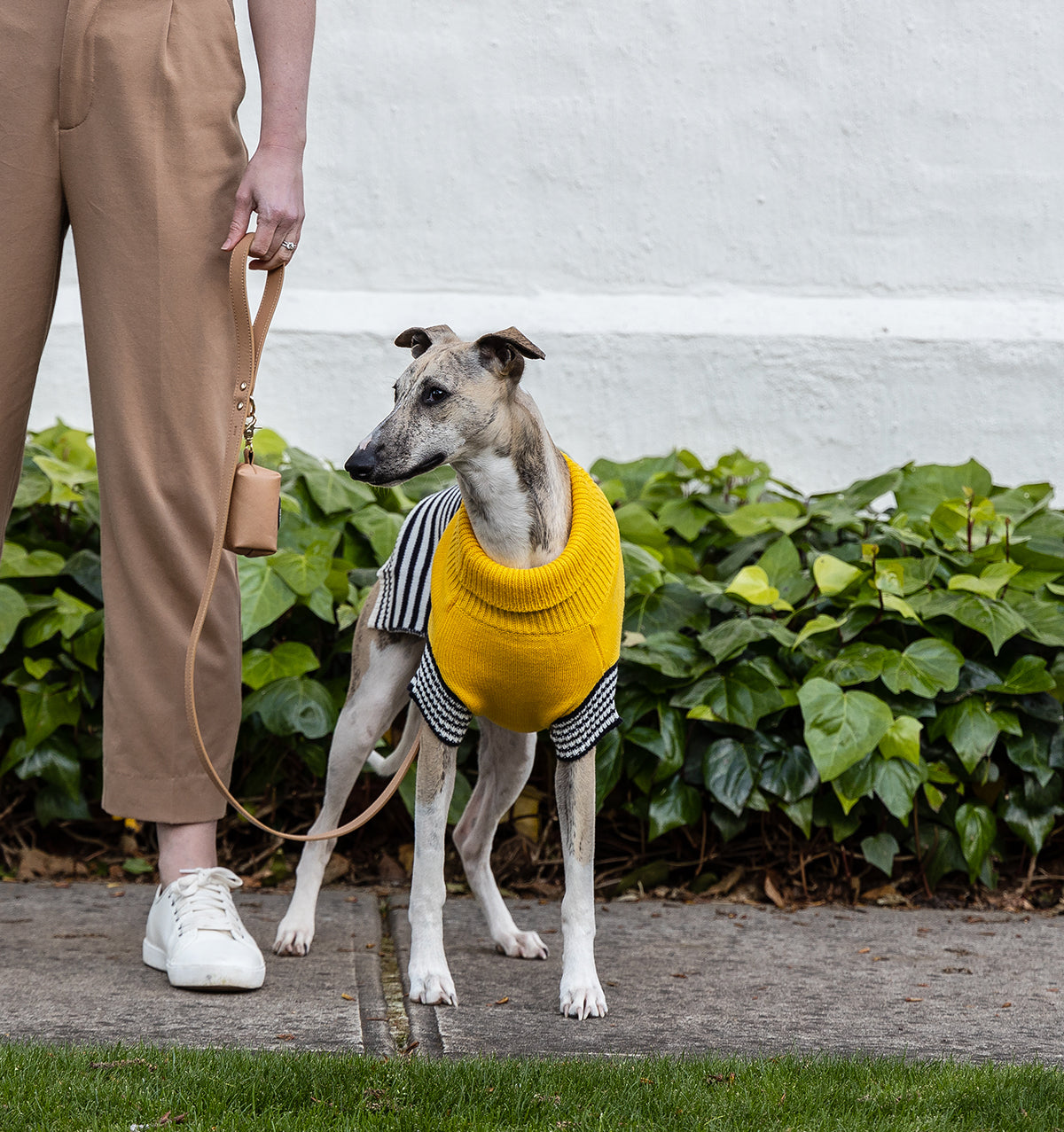Harlow Knit