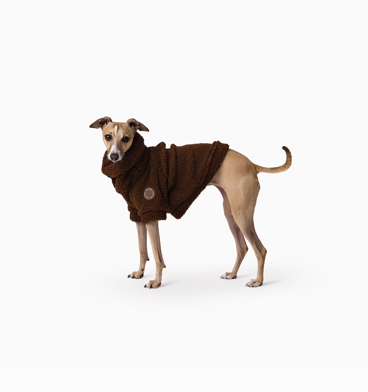 Brown Bear Teddy Jumper