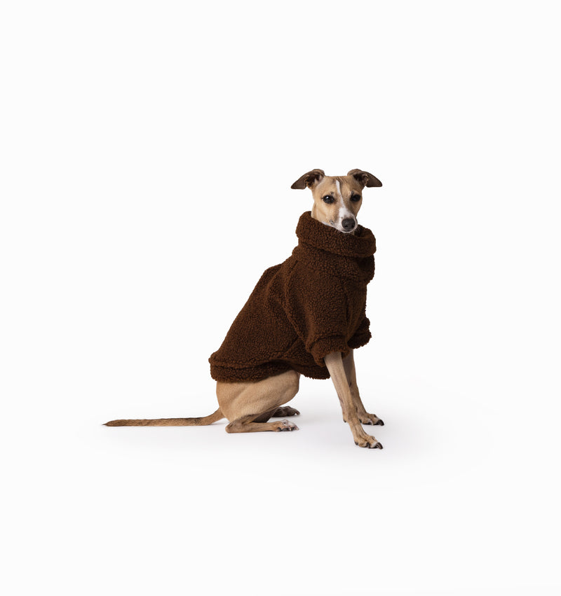 Brown Bear Teddy Jumper