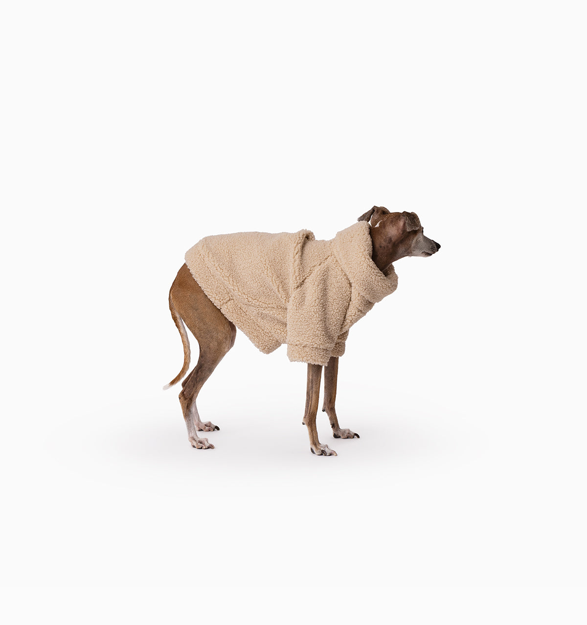 Fawn Teddy Jumper