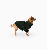 Forest Teddy Jumper