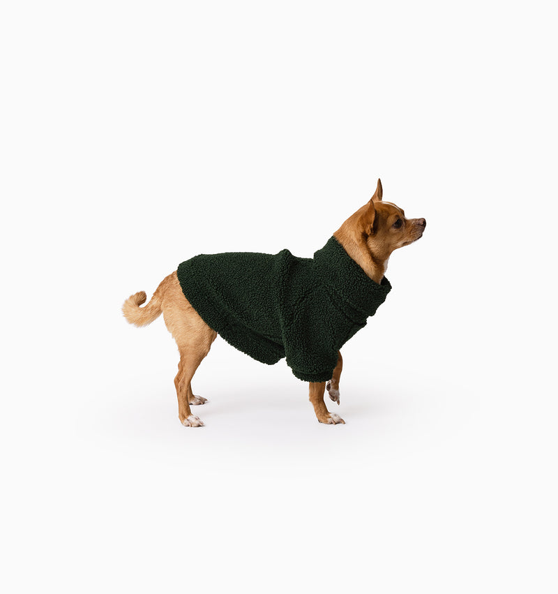 Forest Teddy Jumper