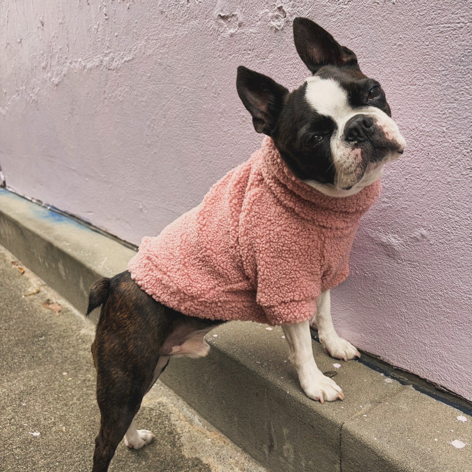 Rosie Teddy Jumper