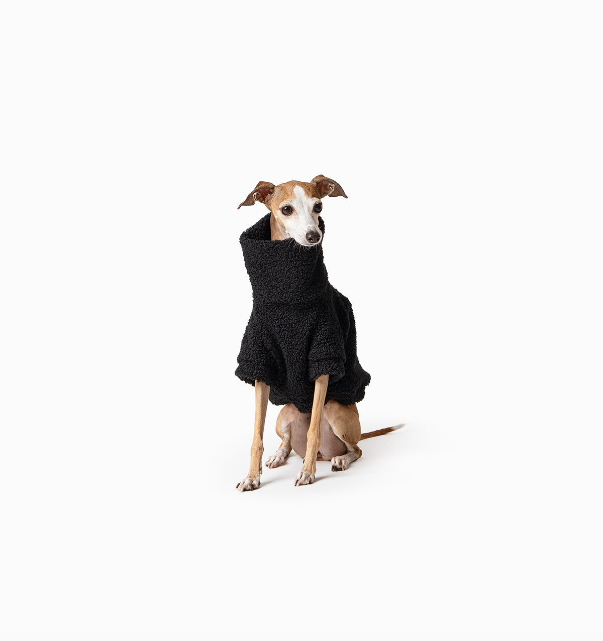 Black Teddy Jumper