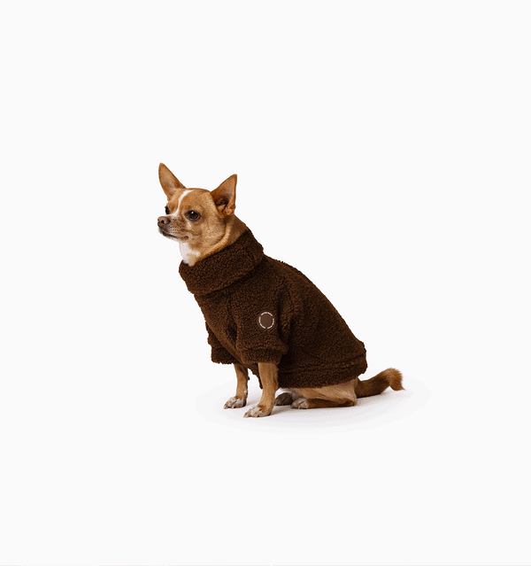 Brown Bear Teddy Jumper