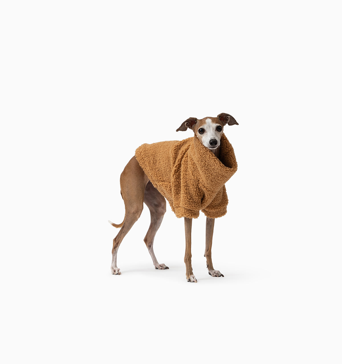 Camel Teddy Jumper