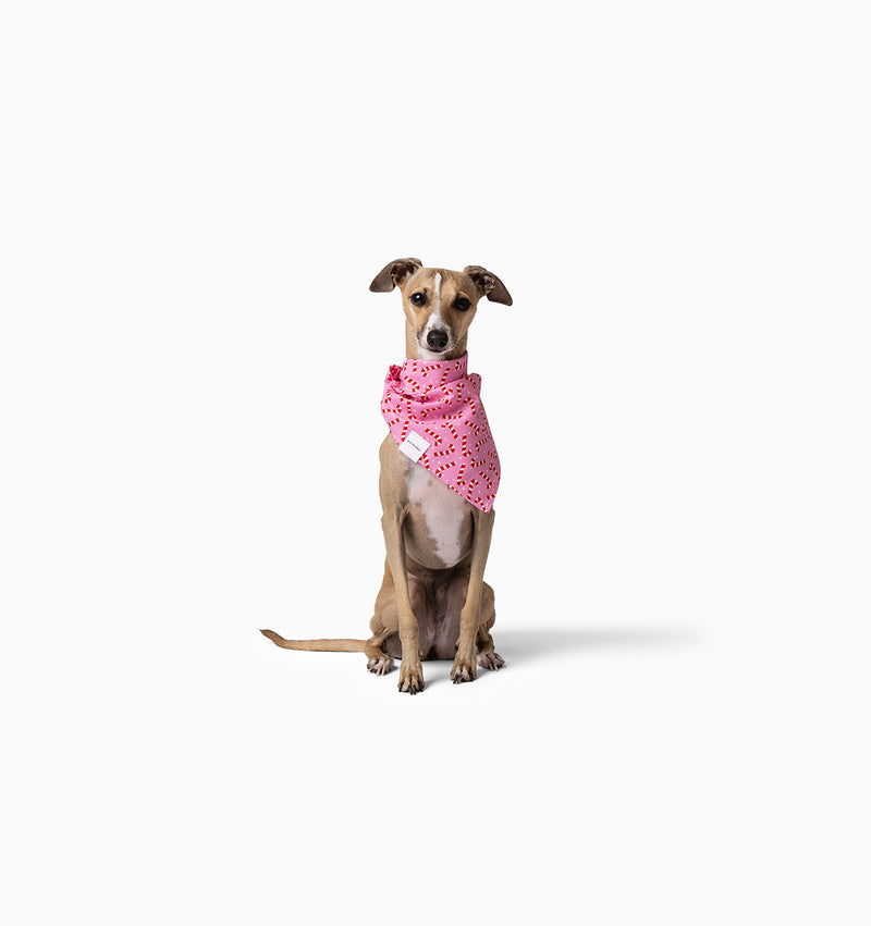Cece Bandana