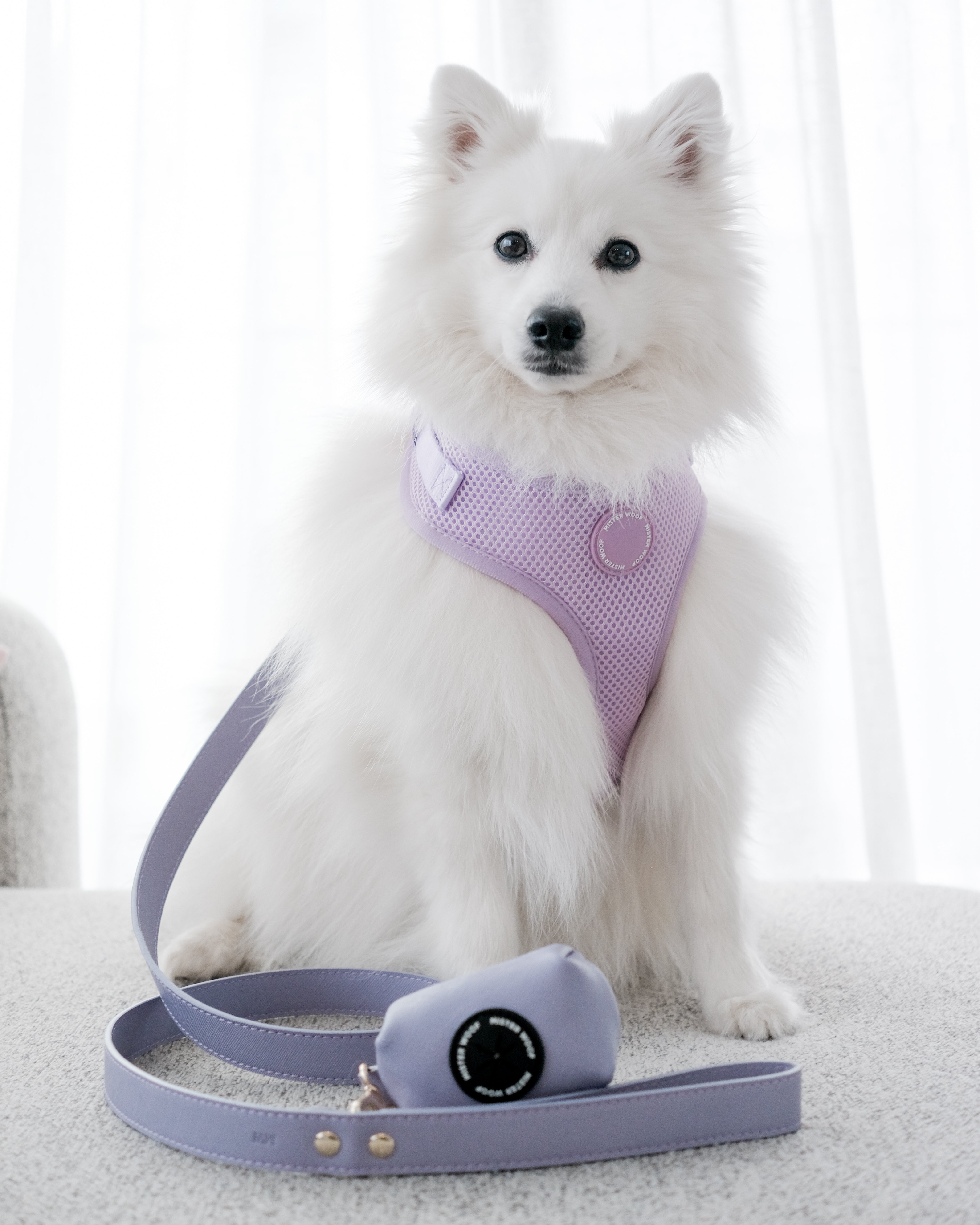 The Harness, Collar, Lead & Poop Bag Holder Bundle