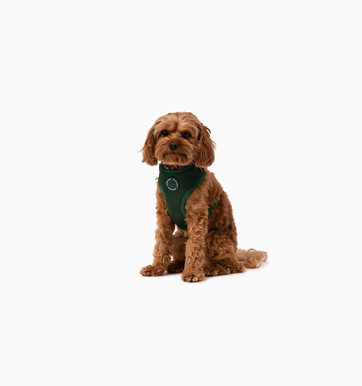 Deep Green Dog Harness
