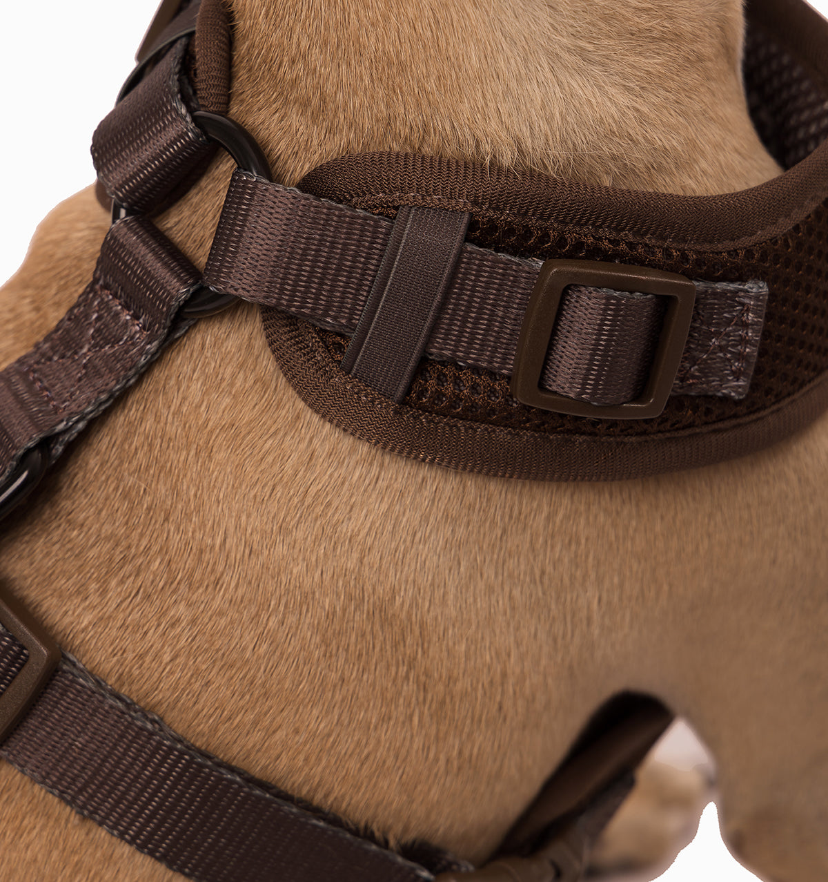 Espresso Dog Harness