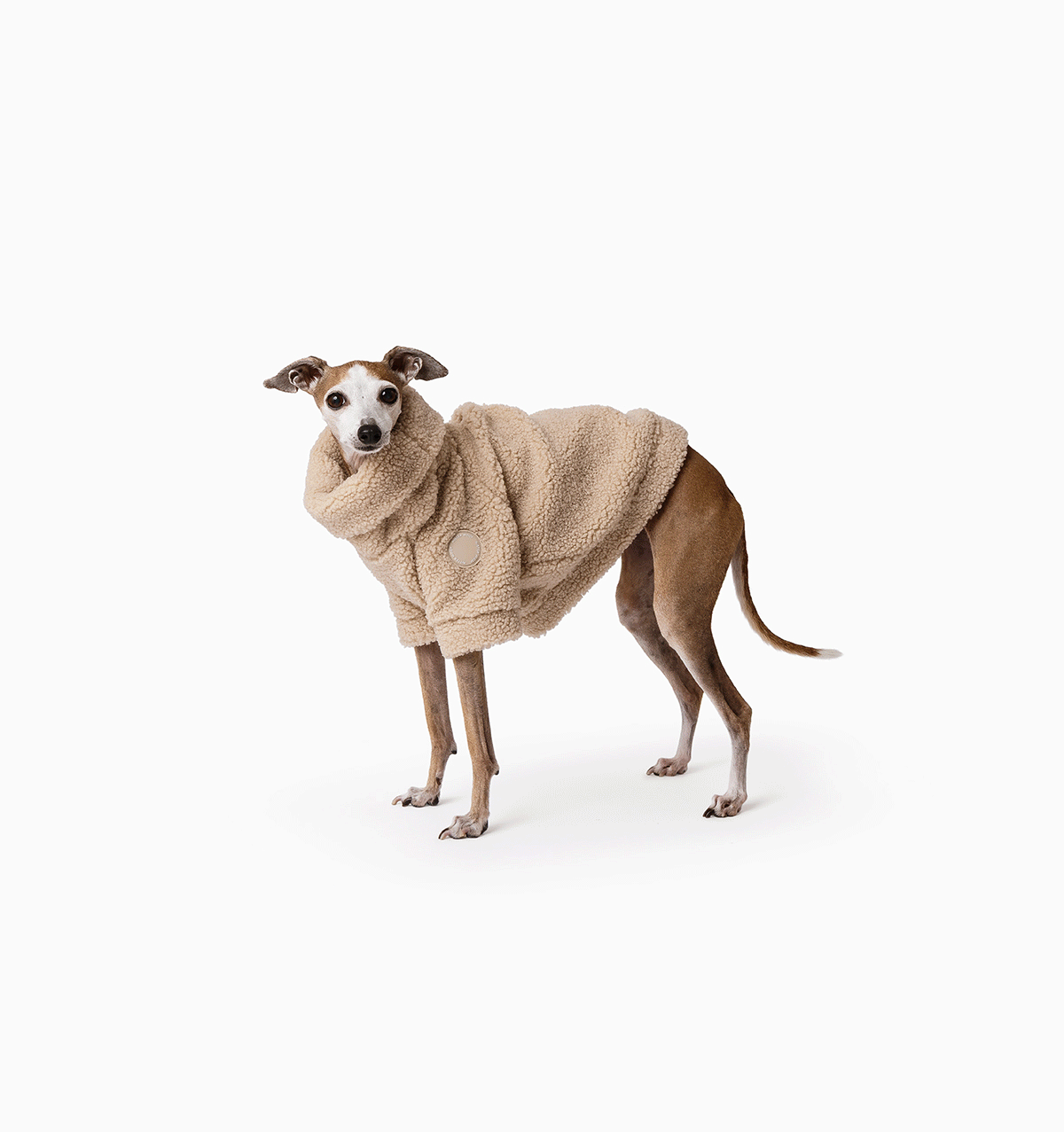 Fawn Teddy Jumper