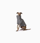 Gigi Jumper