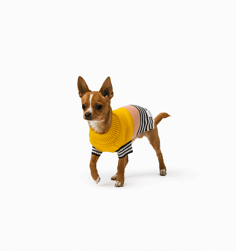 Harlow Knit