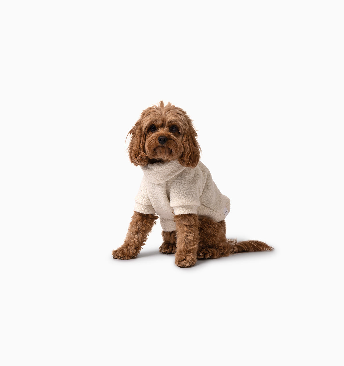 Lambie Teddy Jumper