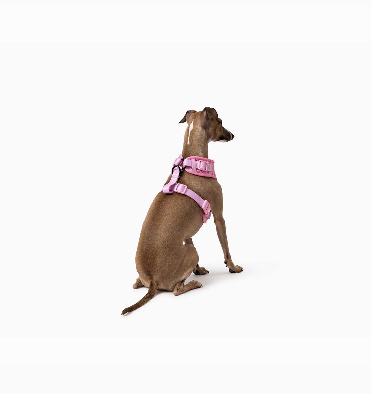Light Pink Dog Harness