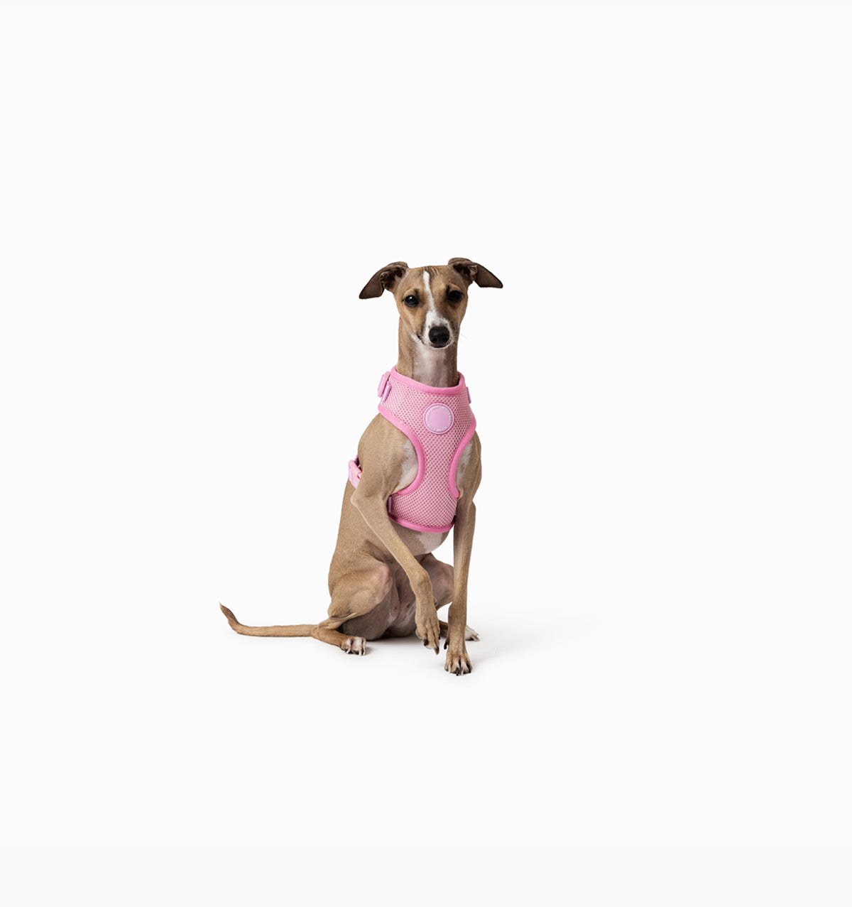 Light Pink Dog Harness