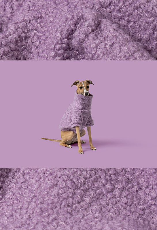 Dog With Turtleneck Meme