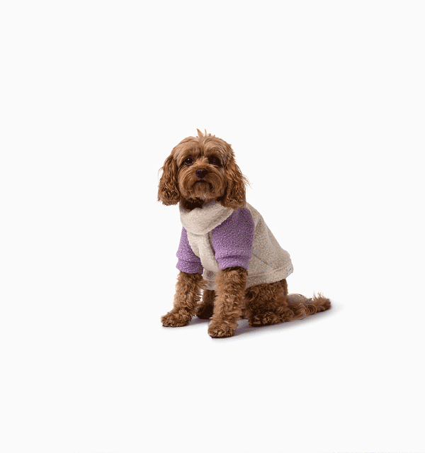 Lola Teddy Jumper