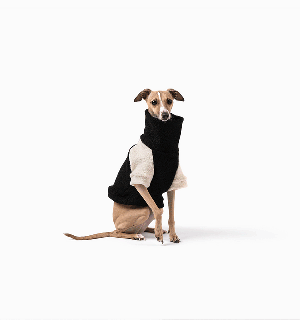 Willa Teddy Jumper
