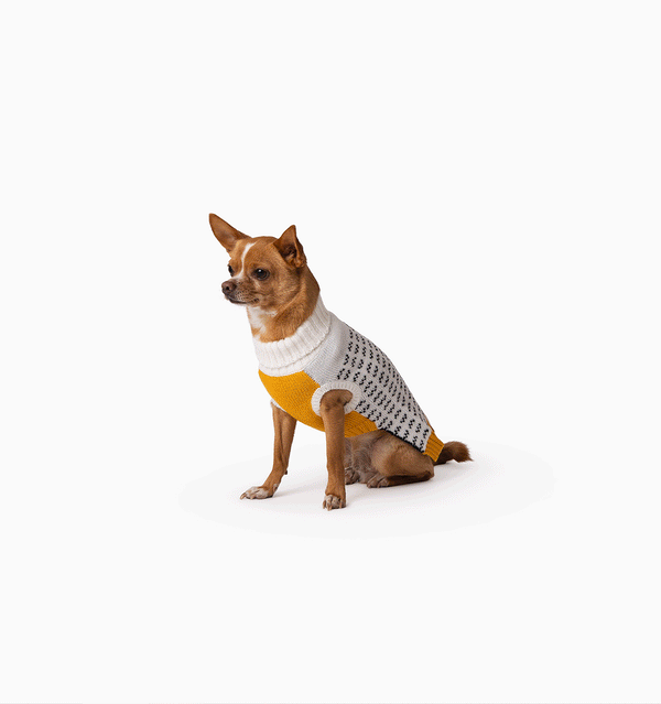 Winston Knit