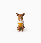 Winston Knit