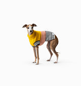 Harlow Knit