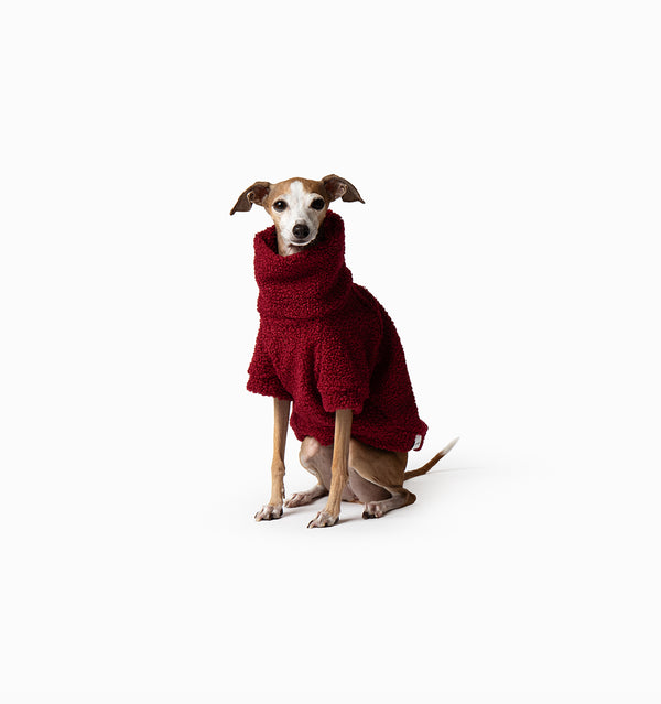Berry Teddy Jumper