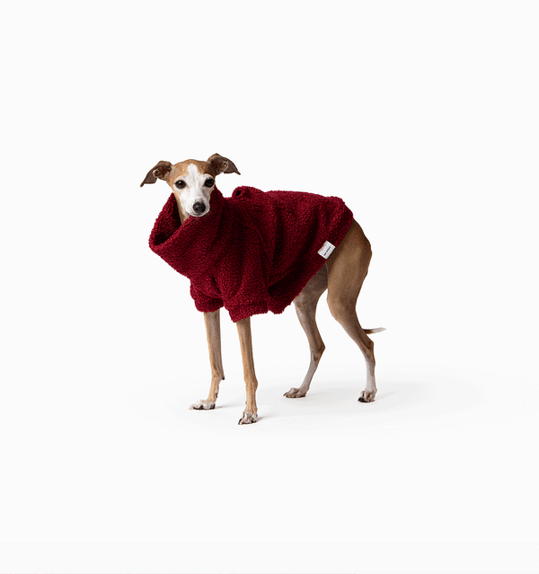 Berry Teddy Jumper