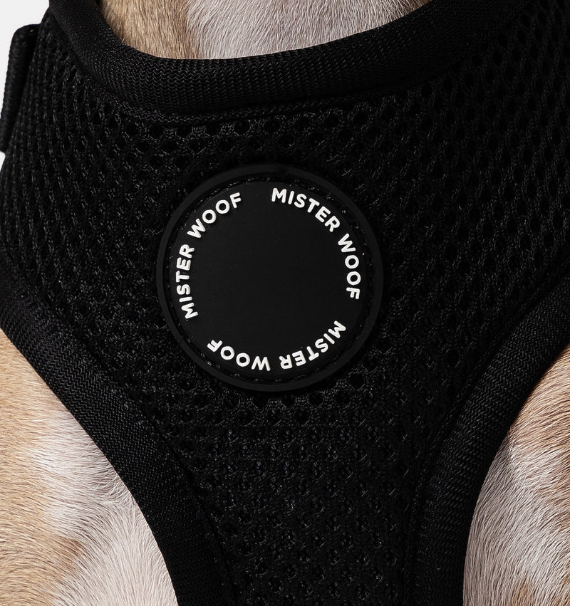 Black Dog Harness