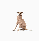Blake Jumper