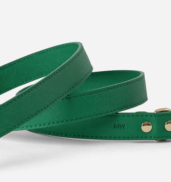 Bright Green Standard Leather Dog Lead